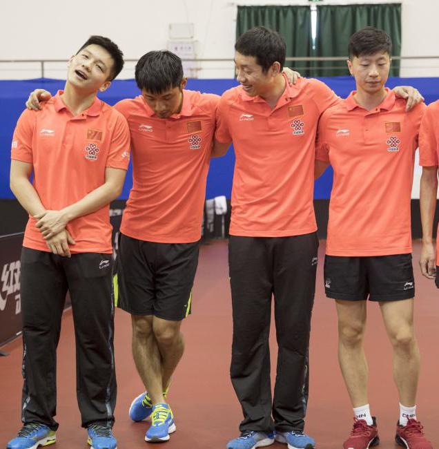 日本队轻取奥地利队，许昕扛起全队