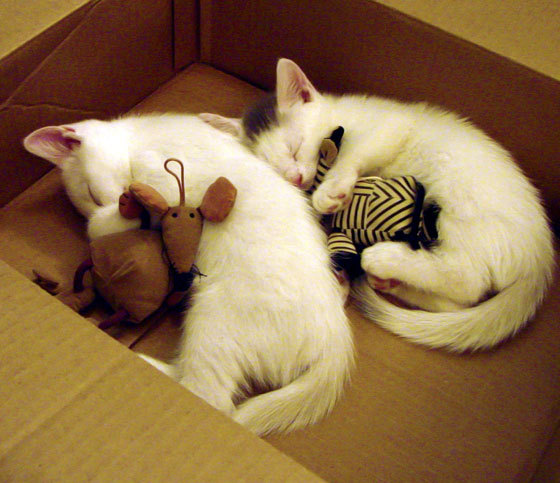 开云sport-双重定义，莱比锡红牛末节的压倒性完胜，与罗德里的东决关键球哲学