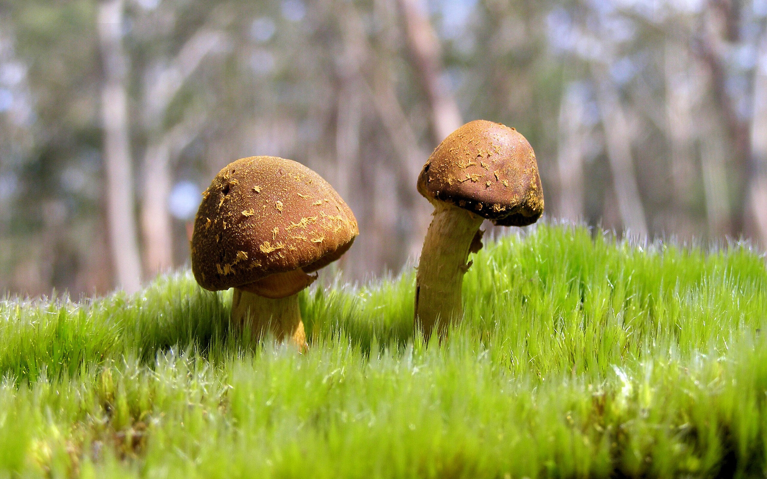 一剑封喉与一人镇场，英超争冠夜与恩比德的大场面密码