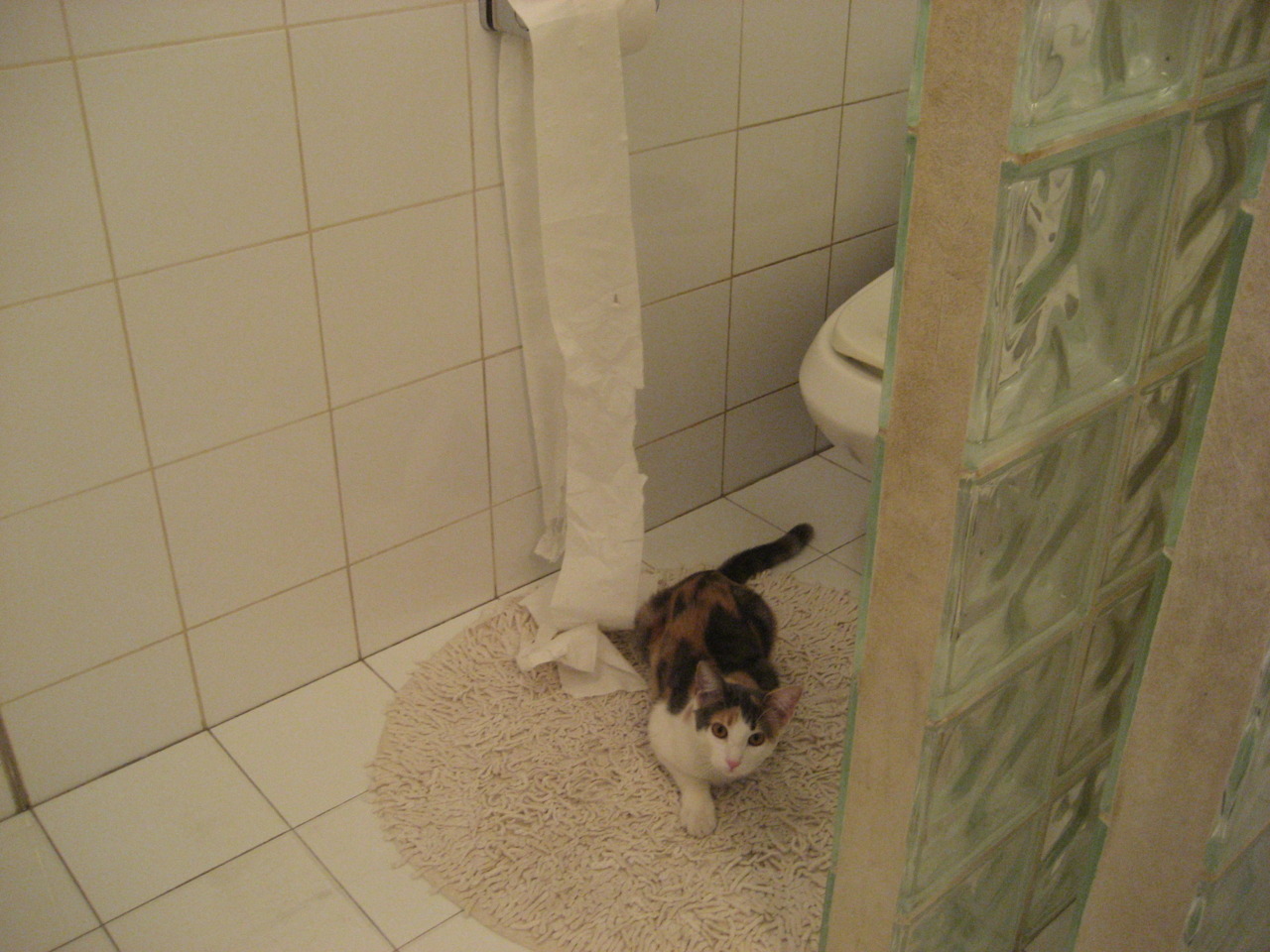 真蓝黑的启示，足球世界里冲垮与争冠的同一种精神