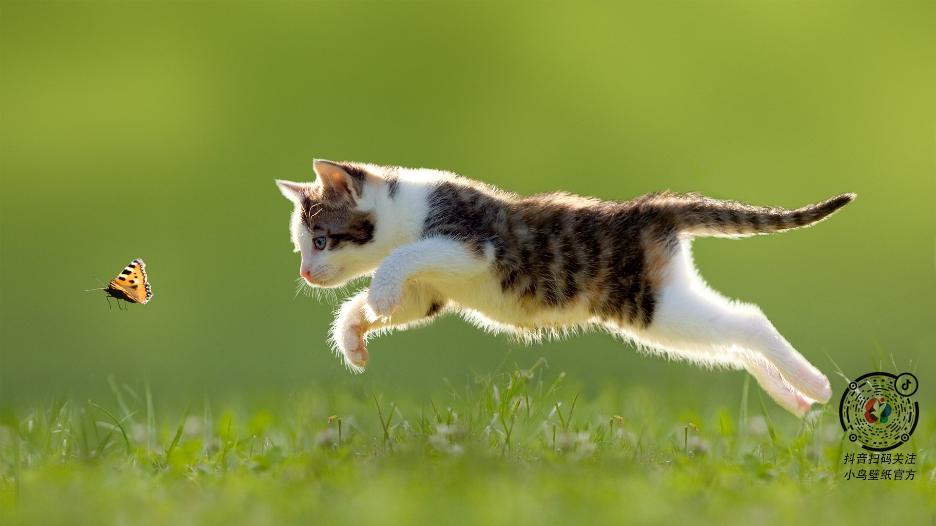 巴黎夜战，法兰西精密机器全面压制牙买加闪电，阿劳霍一锤定音