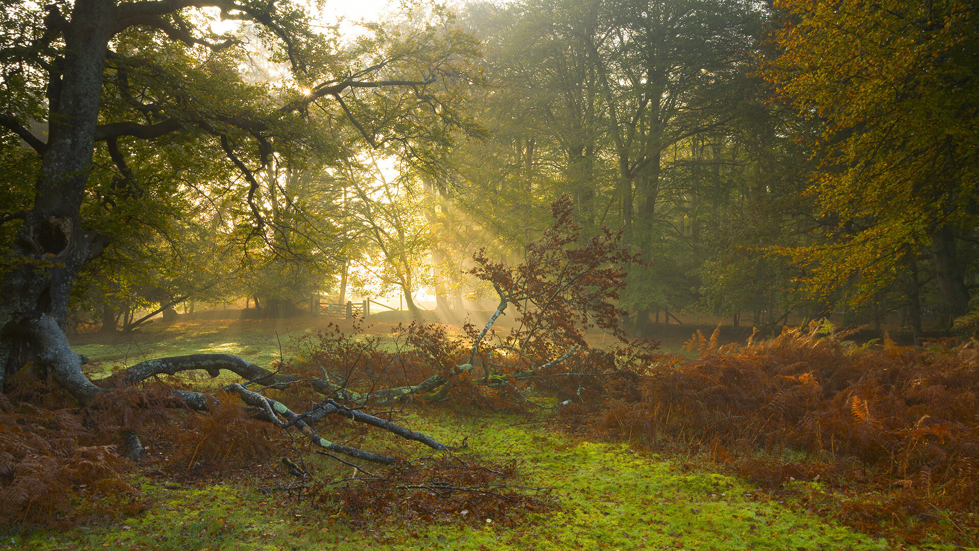 绝杀与救赎，当裁判吹响终场哨，真正的比赛刚刚开始