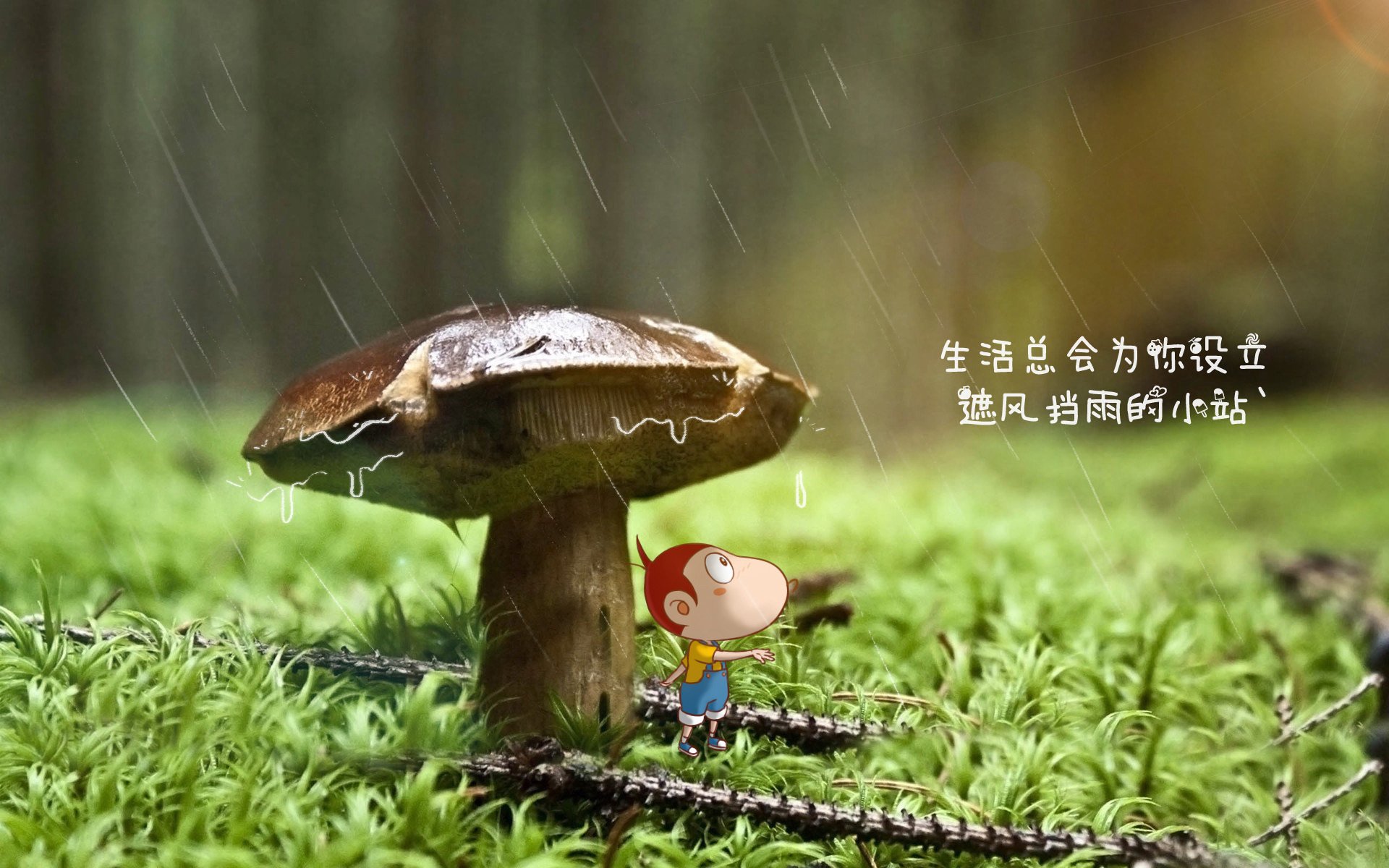 永恒之城的现代角斗士，当阿坎吉在血拼中定义防守艺术