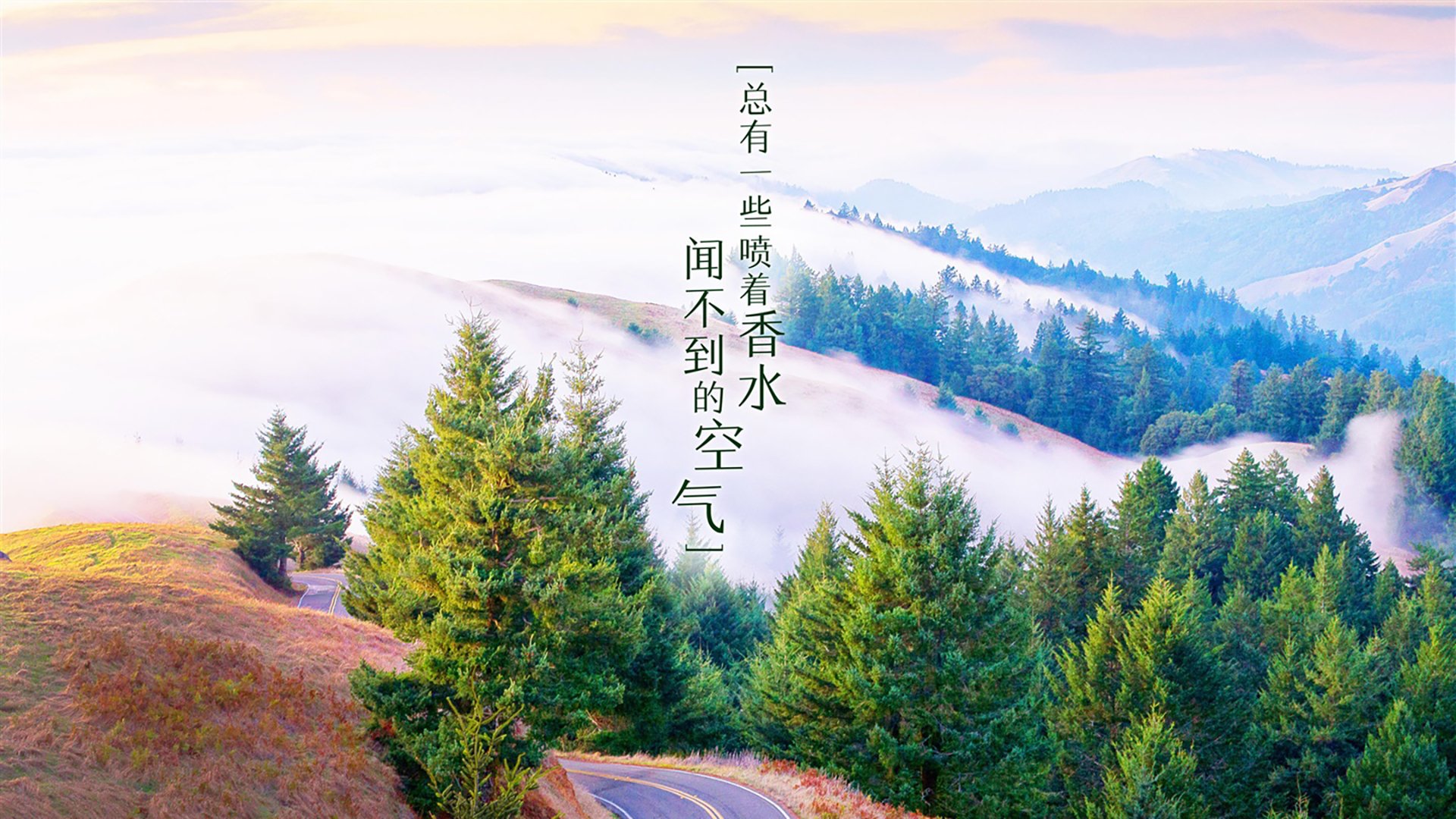 开云体育中国-构思