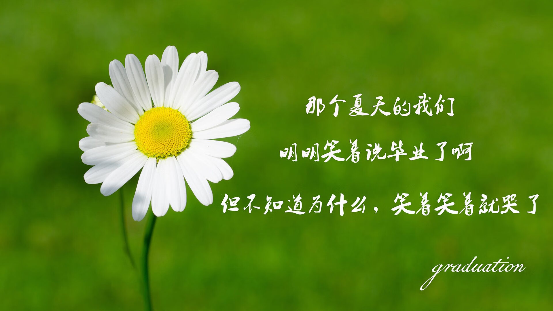 唯一的剧本，当安第斯山脉折断潘帕斯雄鹰的翅膀，桑托斯少年却在废墟上加冕